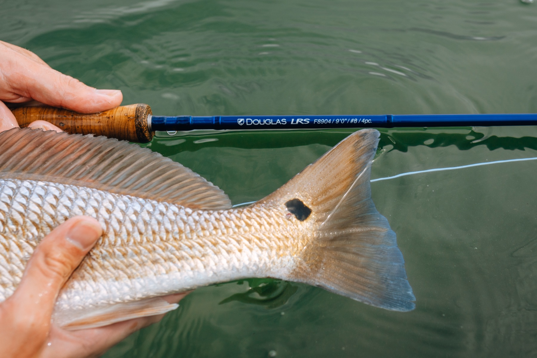 Pesca desde bote con una Douglas LRS