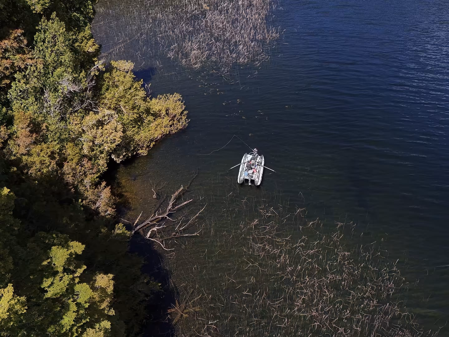 Vista aérea de un pescador en un cataraft sobre el lago Zenteno, en la Patagonia chilena, junto a una orilla de bosque nativo y troncos sumergidos